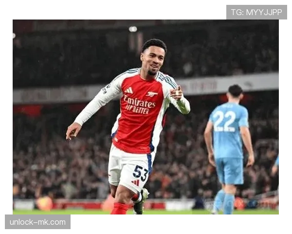 伯恩茅斯冬窗引援计划曝光：聚焦锋线新星与中场强援